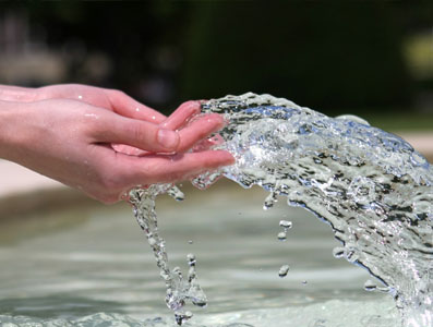 Setor Especialidades