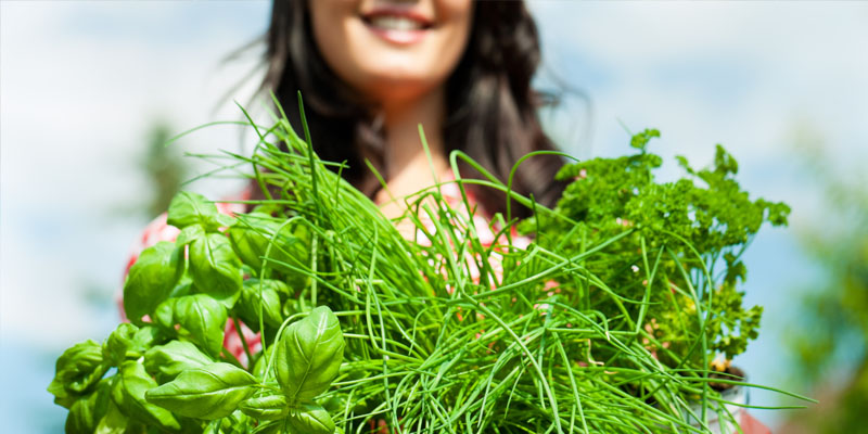 Setor Especialidades